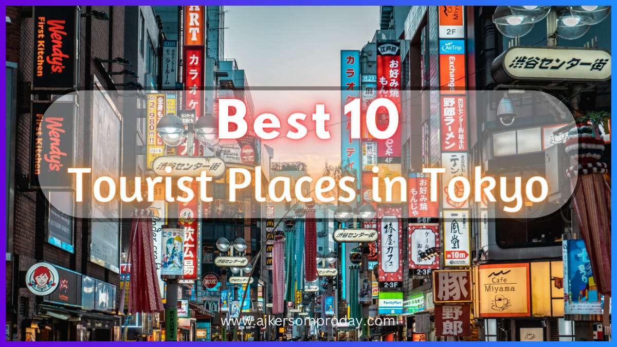 Best 10 Tourist Places in Tokyo 2024