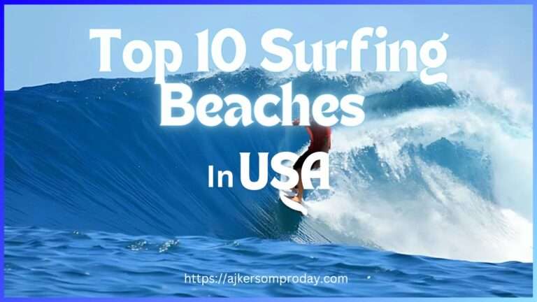 Top 10 Surfing Beach in USA 2024